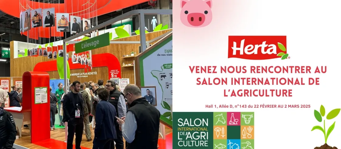 Header salon