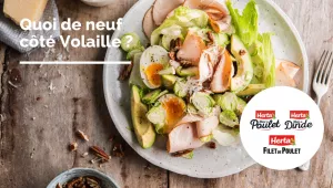 Quoi de neuf coté Volaille ?